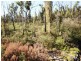 484 Murrabrine Forest Road, Yowrie NSW 2550