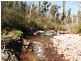 484 Murrabrine Forest Road, Yowrie NSW 2550