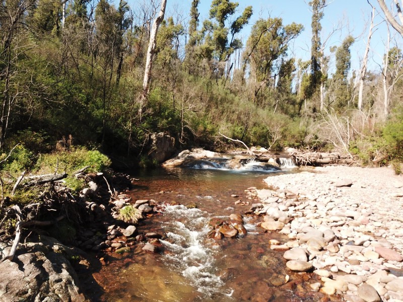484 Murrabrine Forest Road, Yowrie NSW 2550