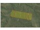 484 Murrabrine Forest Road, Yowrie NSW 2550
