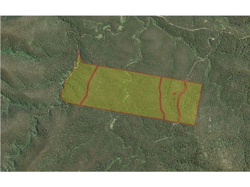 484 Murrabrine Forest Road, Yowrie NSW 2550