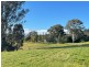 323 Hawks Head Road, Brogo NSW 2550