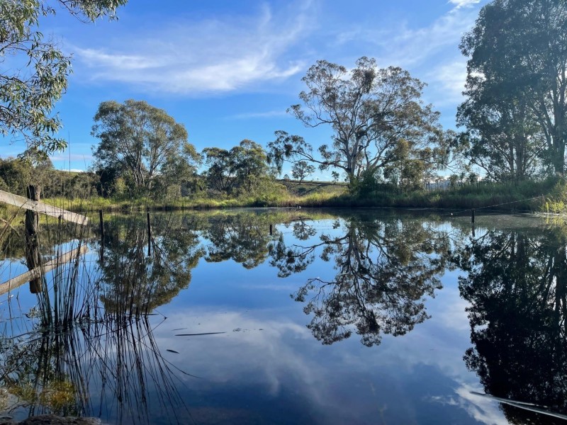 323 Hawks Head Road, Brogo NSW 2550