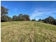 323 Hawks Head Road, Brogo NSW 2550