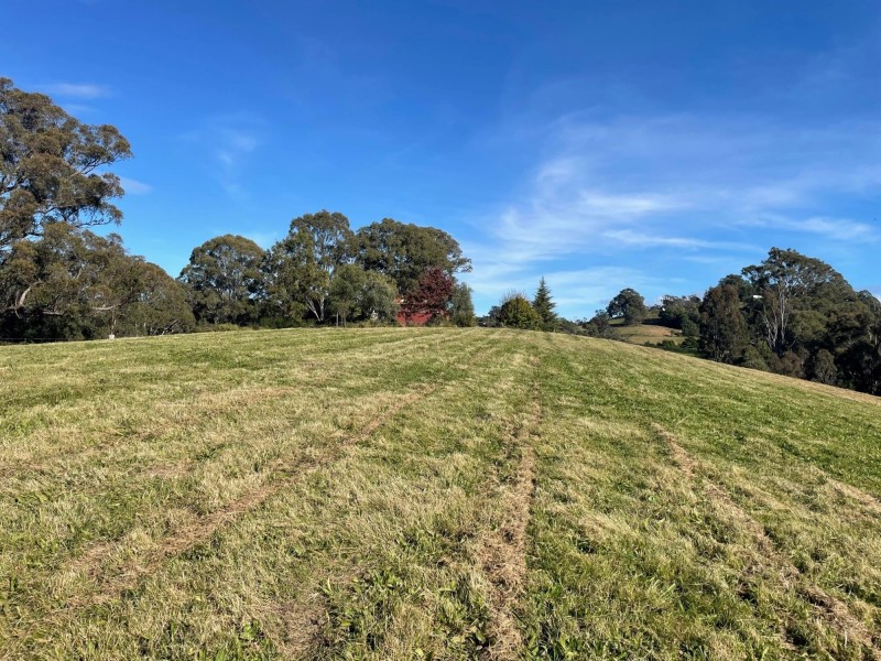 323 Hawks Head Road, Brogo NSW 2550