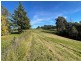 323 Hawks Head Road, Brogo NSW 2550