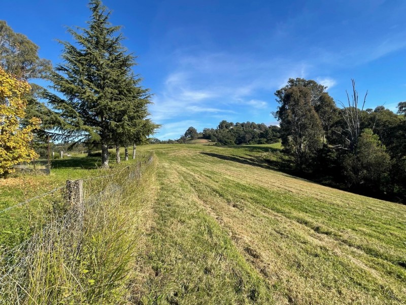 323 Hawks Head Road, Brogo NSW 2550