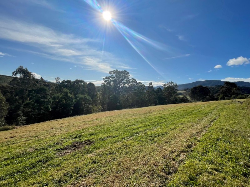 323 Hawks Head Road, Brogo NSW 2550