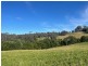 323 Hawks Head Road, Brogo NSW 2550