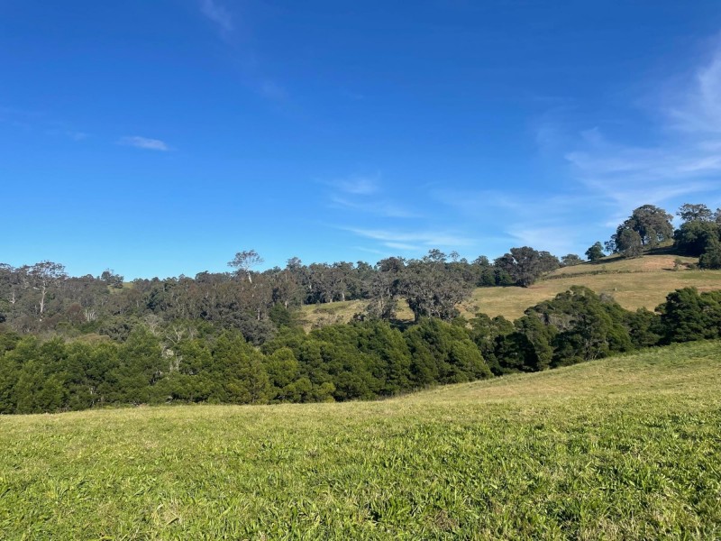 323 Hawks Head Road, Brogo NSW 2550