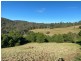 323 Hawks Head Road, Brogo NSW 2550