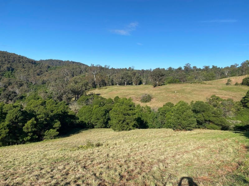 323 Hawks Head Road, Brogo NSW 2550