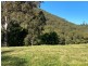 323 Hawks Head Road, Brogo NSW 2550