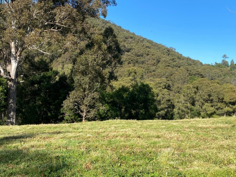 323 Hawks Head Road, Brogo NSW 2550