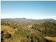 1398 Upper Brogo Road, Brogo NSW 2550