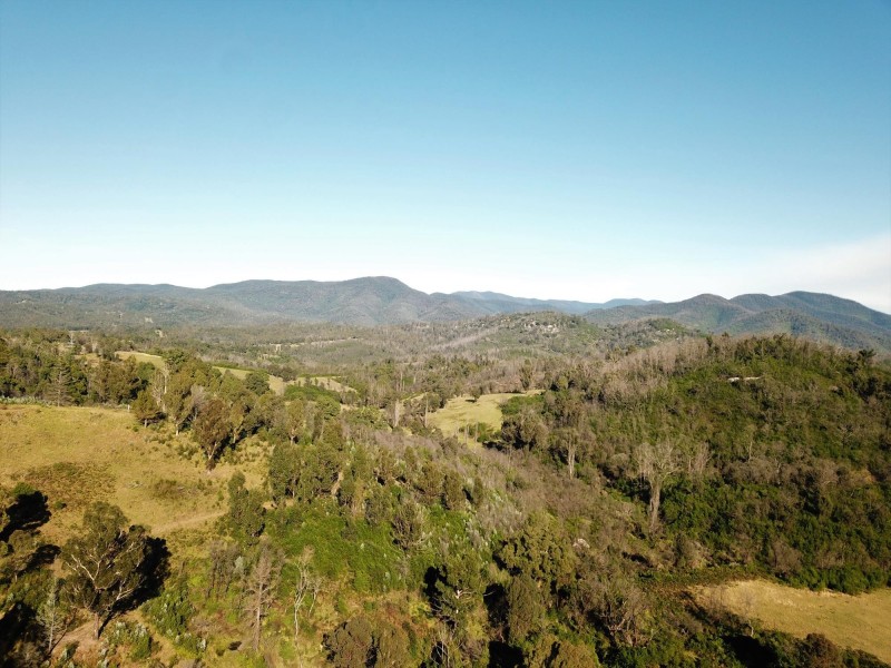 1398 Upper Brogo Road, Brogo NSW 2550