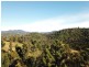 1398 Upper Brogo Road, Brogo NSW 2550