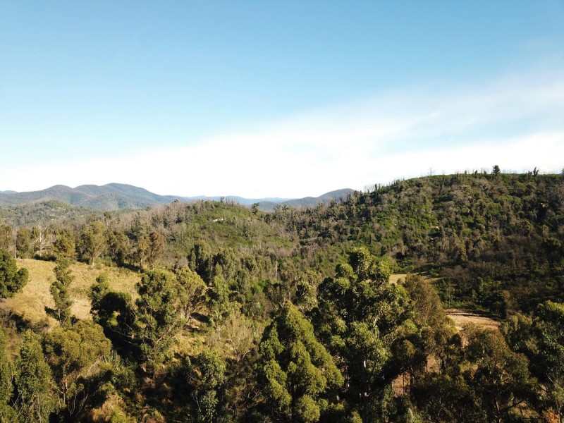 1398 Upper Brogo Road, Brogo NSW 2550