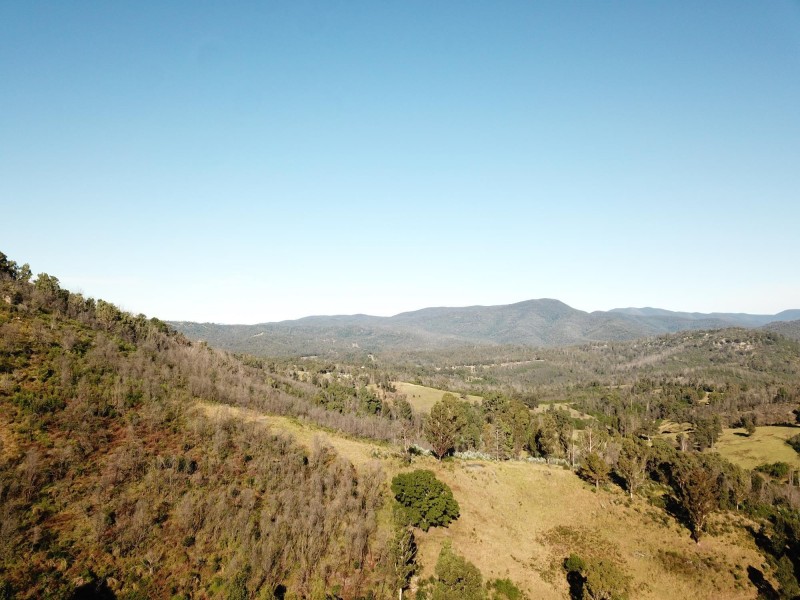 1398 Upper Brogo Road, Brogo NSW 2550