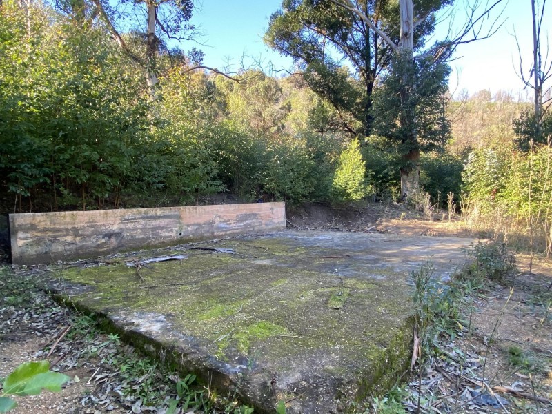 1398 Upper Brogo Road, Brogo NSW 2550