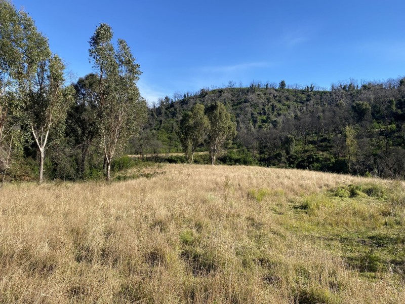 1398 Upper Brogo Road, Brogo NSW 2550