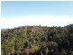 1398 Upper Brogo Road, Brogo NSW 2550