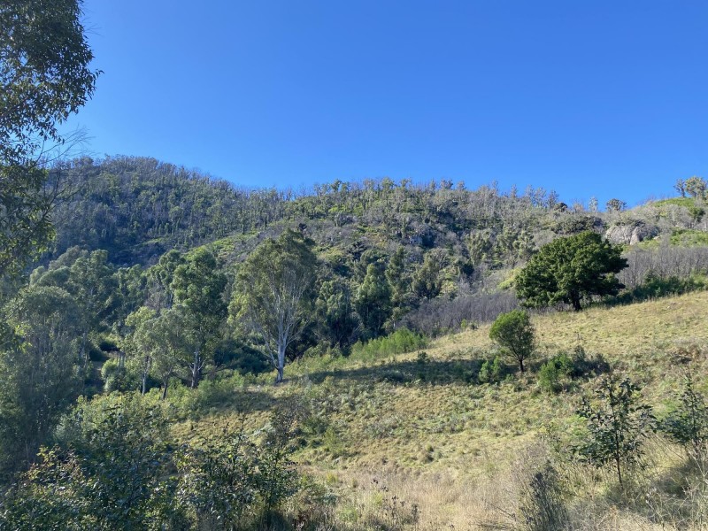1398 Upper Brogo Road, Brogo NSW 2550