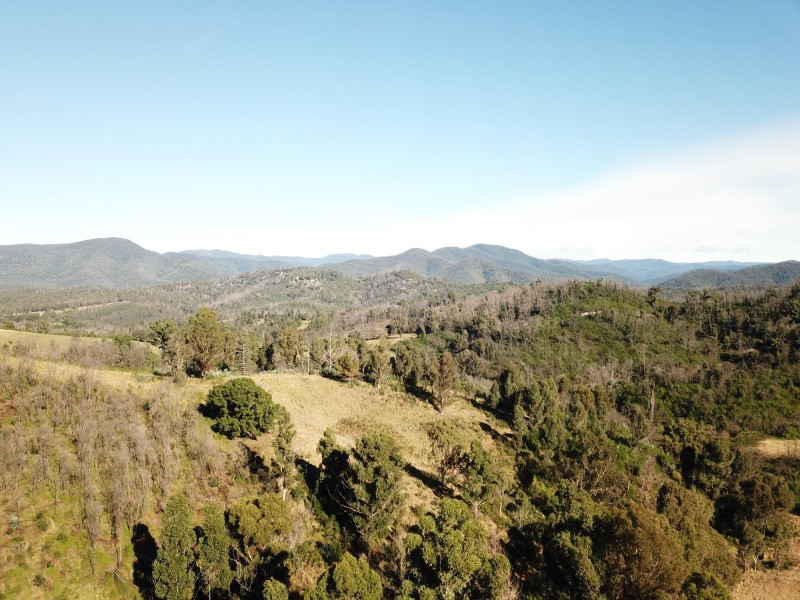1398 Upper Brogo Road, Brogo NSW 2550
