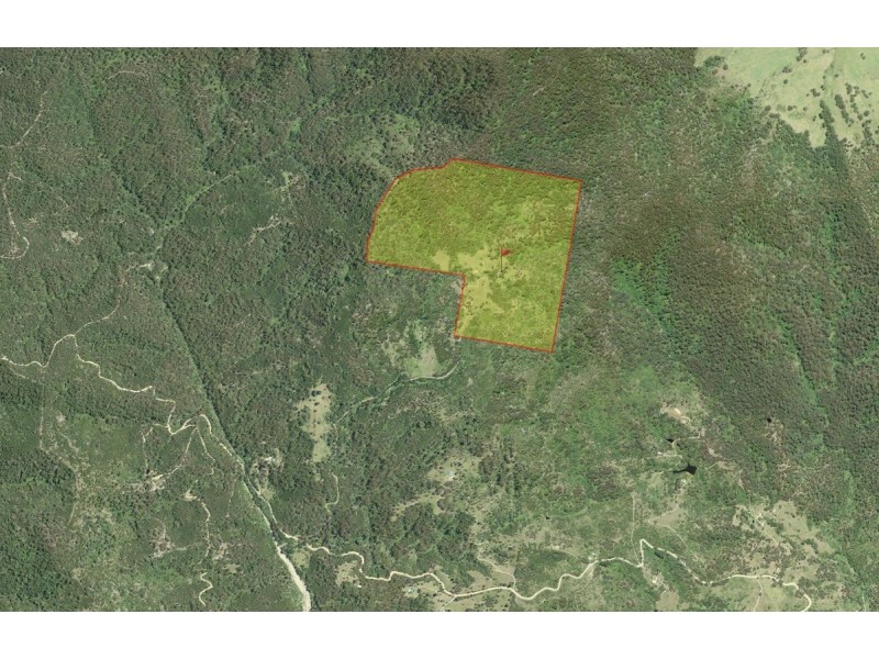 1398 Upper Brogo Road, Brogo NSW 2550