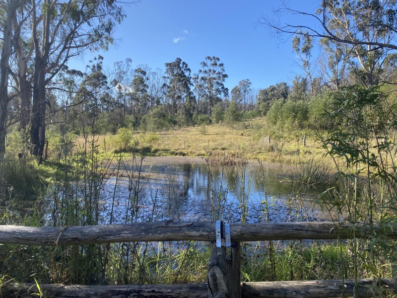 712 New Buildings Road, Wyndham NSW 2550