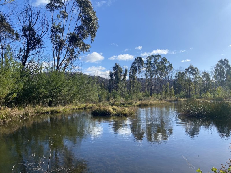 712 New Buildings Road, Wyndham NSW 2550