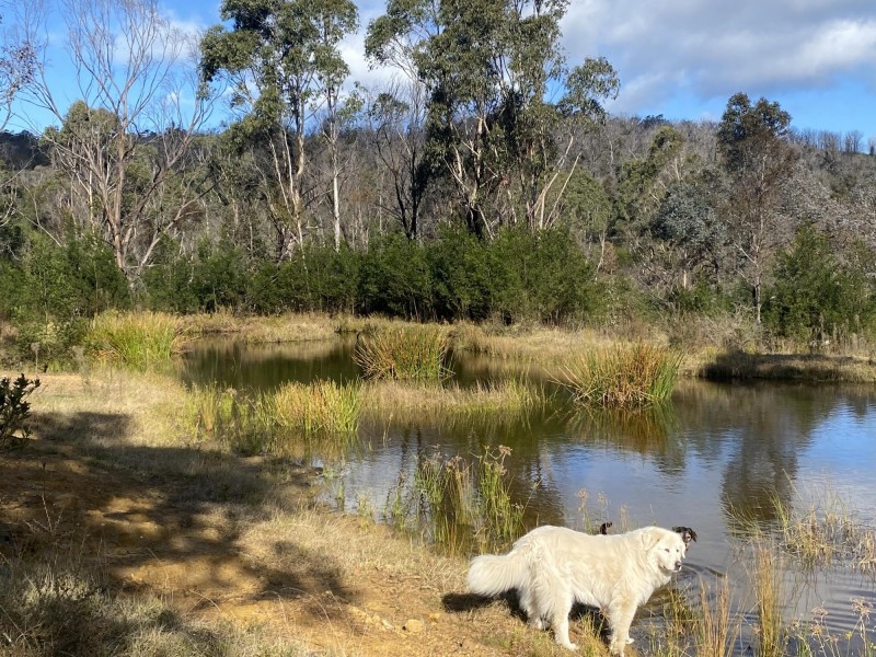 712 New Buildings Road, Wyndham NSW 2550
