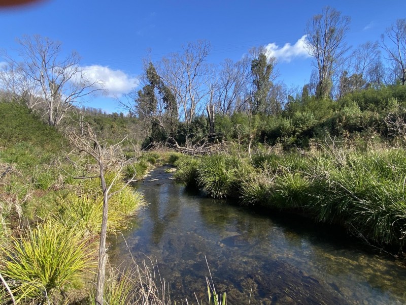 712 New Buildings Road, Wyndham NSW 2550