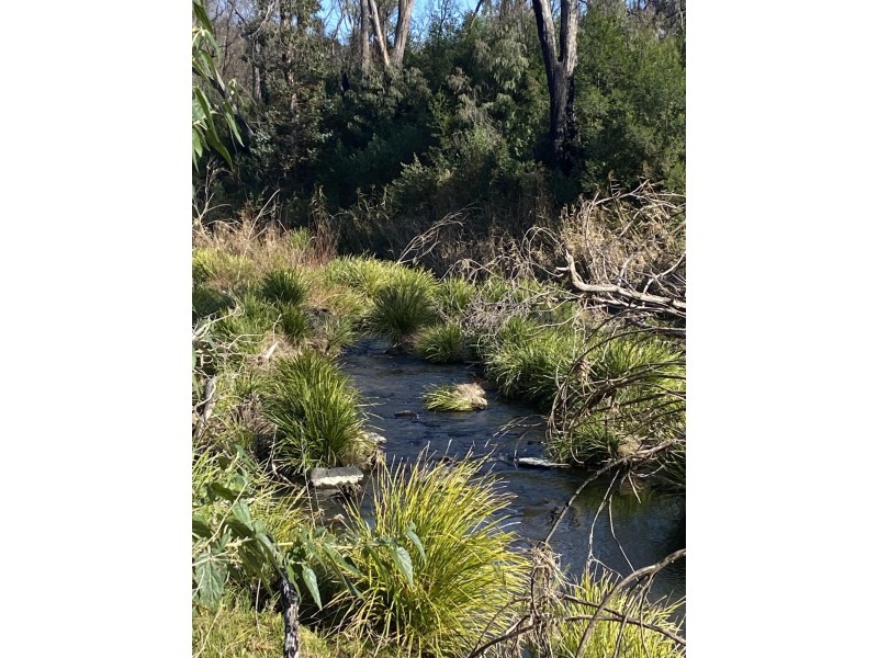 712 New Buildings Road, Wyndham NSW 2550