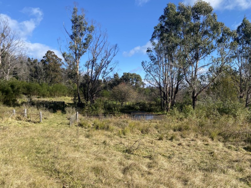 712 New Buildings Road, Wyndham NSW 2550