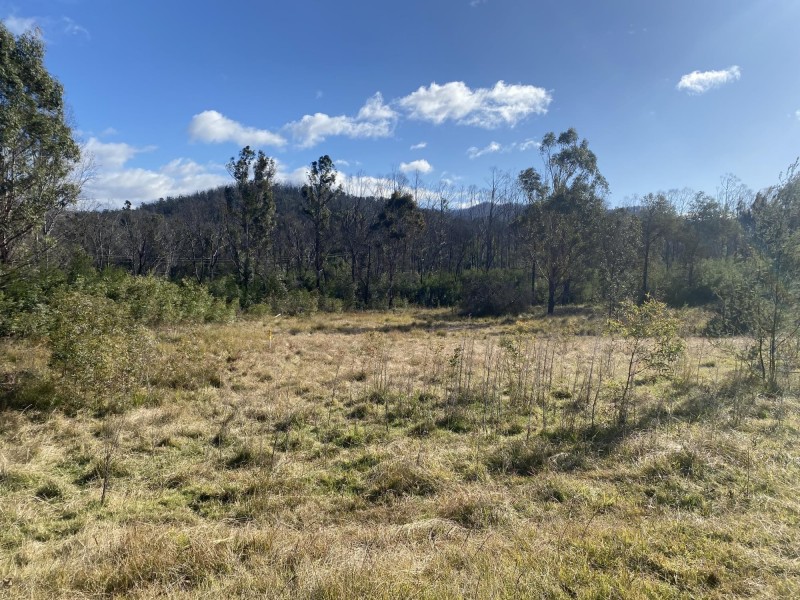 712 New Buildings Road, Wyndham NSW 2550