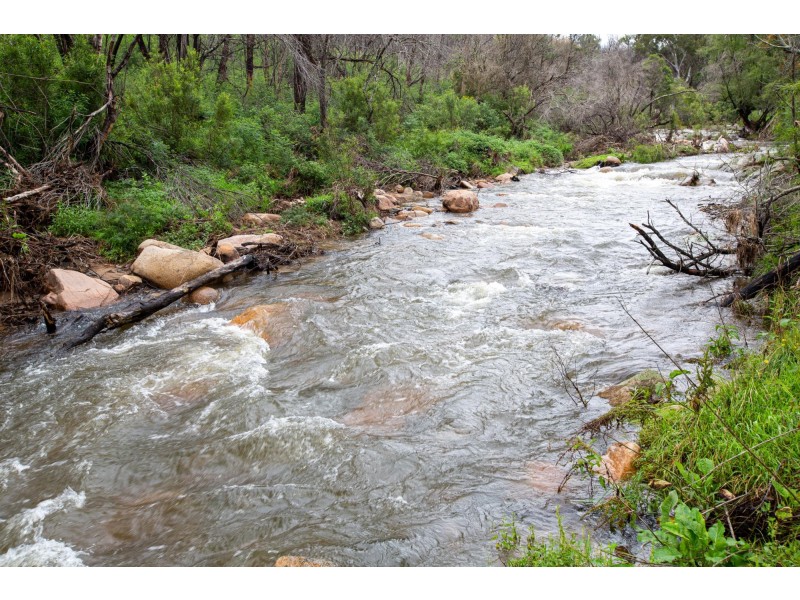 159 Moons Road, Bemboka NSW 2550