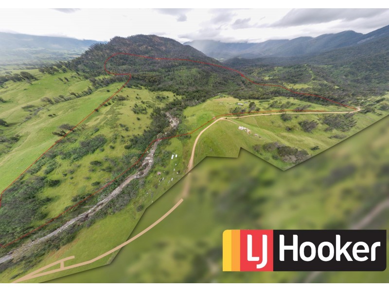 159 Moons Road, Bemboka NSW 2550