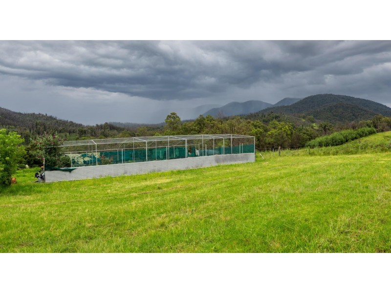 159 Moons Road, Bemboka NSW 2550