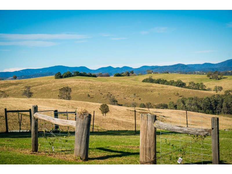 113 Lookout Lane, Bemboka NSW 2550