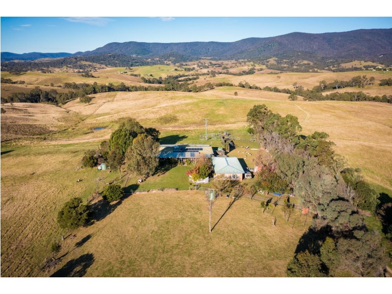 113 Lookout Lane, Bemboka NSW 2550