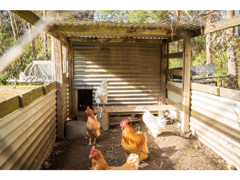8 Evans Close, Kalaru NSW 2550