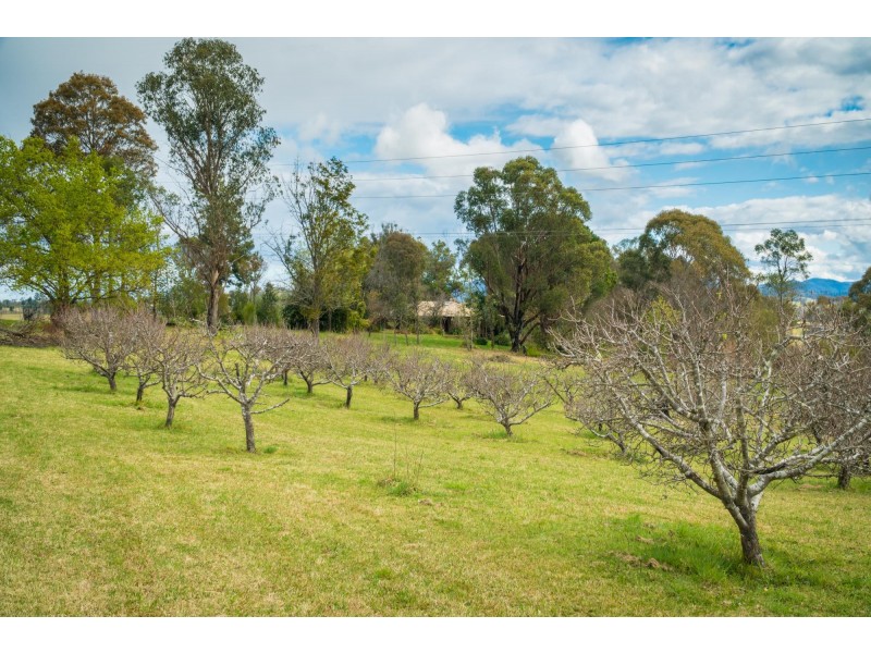 11454 Princes Highway, Cobargo NSW 2550
