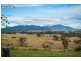 11454 Princes Highway, Cobargo NSW 2550