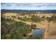 11454 Princes Highway, Cobargo NSW 2550