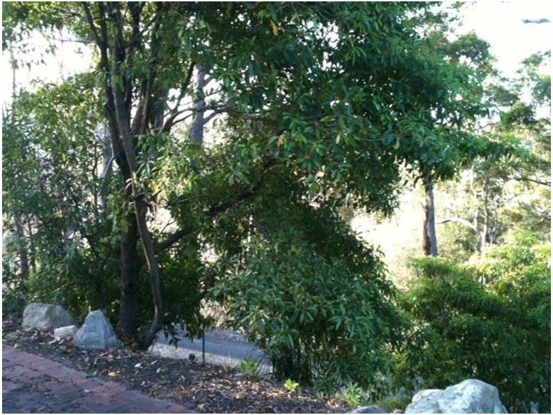 17/131 Merimbula Drive, Merimbula NSW 2548