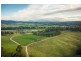 208 Reedy Swamp Road, Bega NSW 2550