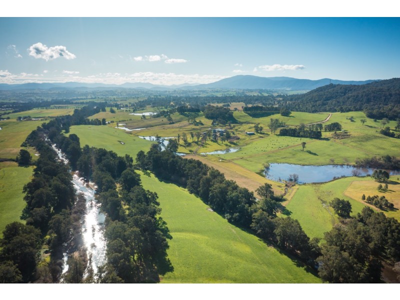 208 Reedy Swamp Road, Bega NSW 2550