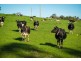 208 Reedy Swamp Road, Bega NSW 2550