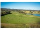 208 Reedy Swamp Road, Bega NSW 2550